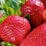 Décocté Minceur Naturel