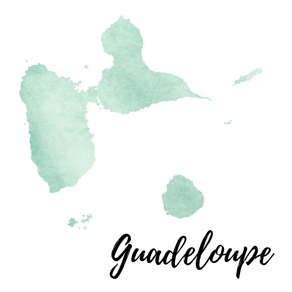 Infusion Minceur Martinique